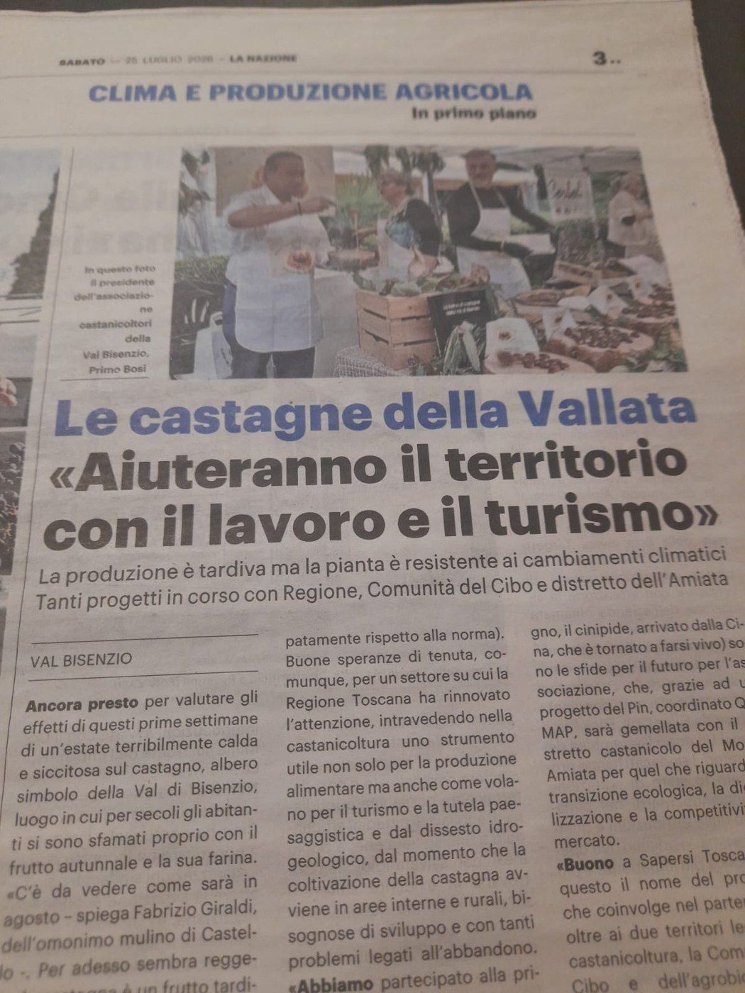 Ritaglio La Nazione - Le castagne della Vallata aiuteranno il territorio